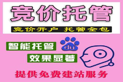 SEM代理的优化策略及成功案例